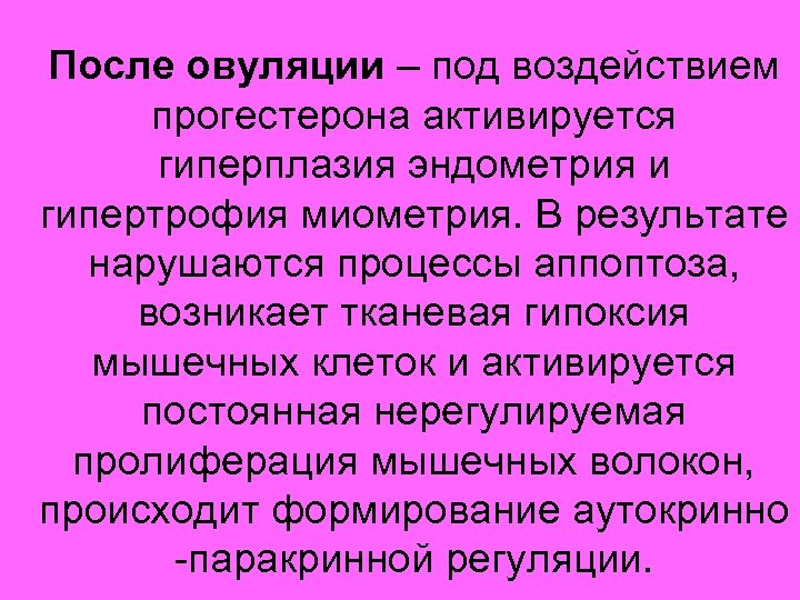 После овуляции – под воздействием прогестерона активируется гиперплазия эндометрия и гипертрофия миометрия. В результате