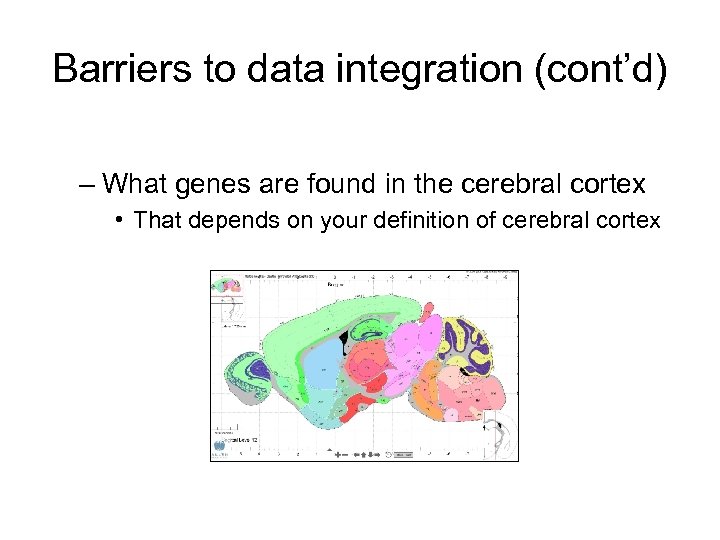 Barriers to data integration (cont’d) – What genes are found in the cerebral cortex