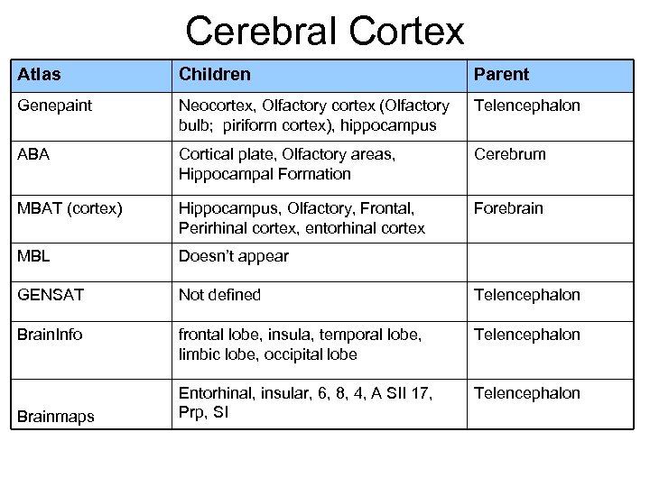 Cerebral Cortex Atlas Children Parent Genepaint Neocortex, Olfactory cortex (Olfactory bulb; piriform cortex), hippocampus