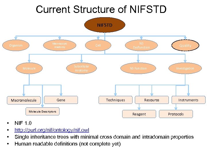 Current Structure of NIFSTD Macroscopic Anatomy Organism Subcellular Anatomy Molecule Macromolecule Molecule Descriptors •