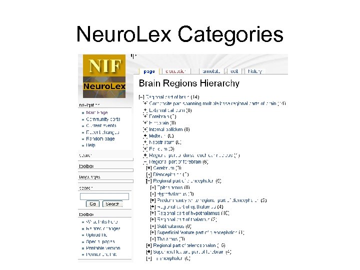 Neuro. Lex Categories 