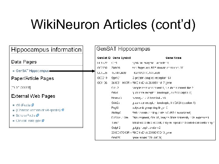 Wiki. Neuron Articles (cont’d) 