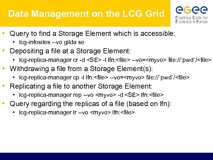 Data Management on the LCG Grid • Query to find a Storage Element which