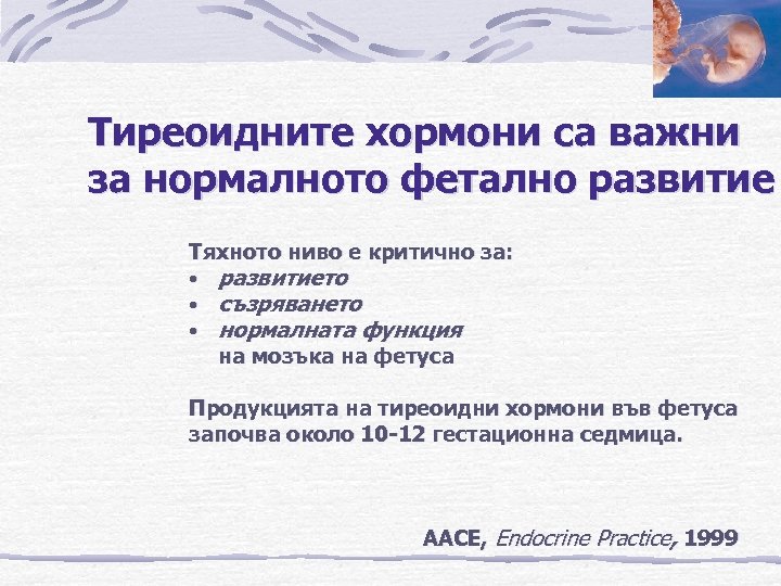 Тиреоидните хормони са важни за нормалното фетално развитие Тяхното ниво е критично за: •