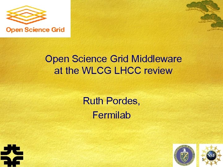 Open Science Grid Middleware at the WLCG LHCC review Ruth Pordes, Fermilab 1 