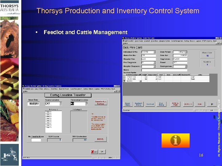 Thorsys Production and Inventory Control System Feedlot and Cattle Management 16 All Rights Reserved