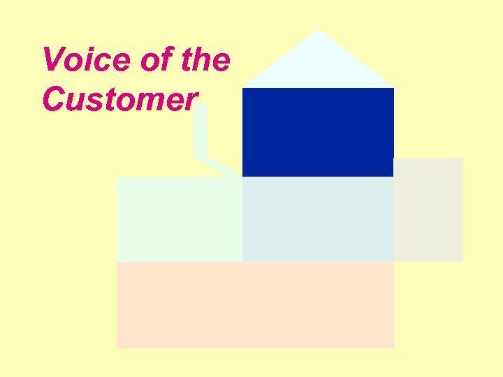 Voice of the Customer 
