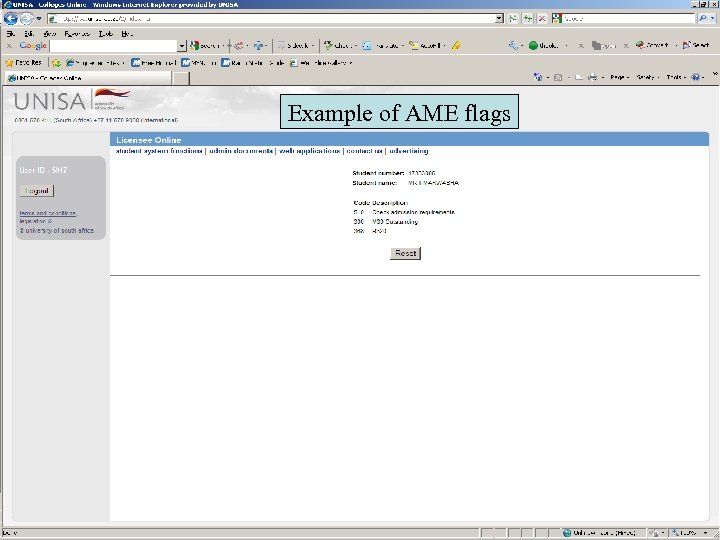 Example of AME flags 