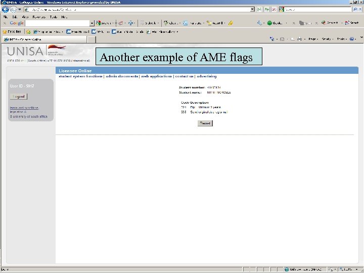 Another example of AME flags 