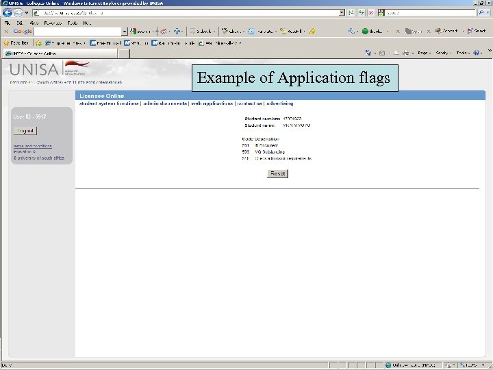 Example of Application flags 