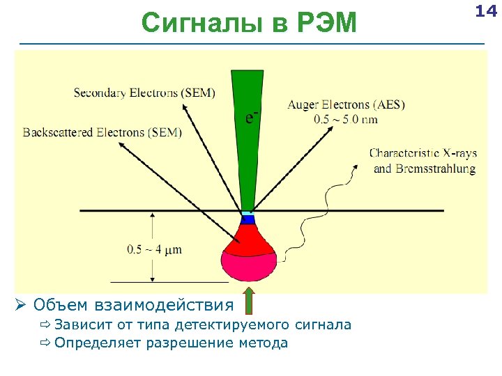 Сигналы в РЭМ Ø Объем взаимодействия ð Зависит от типа детектируемого сигнала ð Определяет