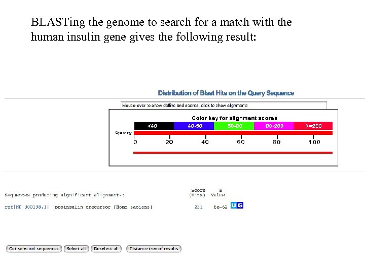 BLASTing the genome to search for a match with the human insulin gene gives