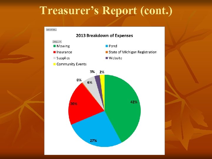 Treasurer’s Report (cont. ) 