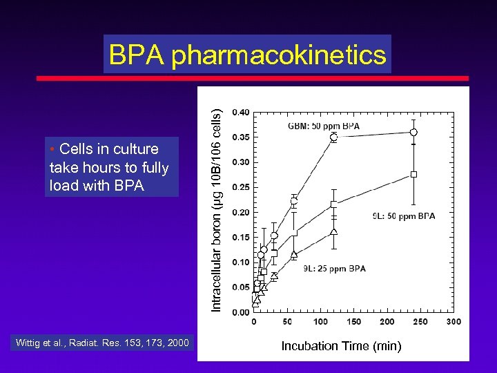  • Cells in culture take hours to fully load with BPA Wittig et