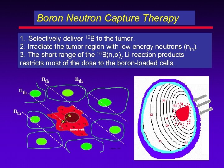 Boron Neutron Capture Therapy BNCT History Pre-clinical Research