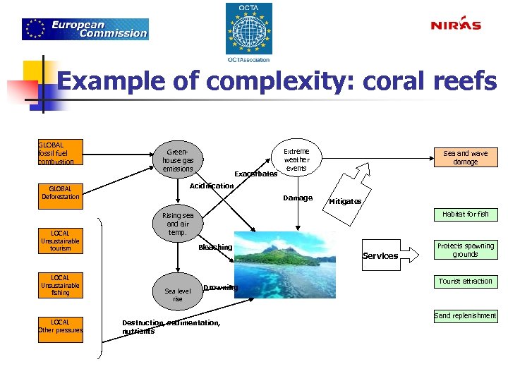 Example of complexity: coral reefs GLOBAL fossil fuel combustion GLOBAL Deforestation LOCAL Unsustainable tourism