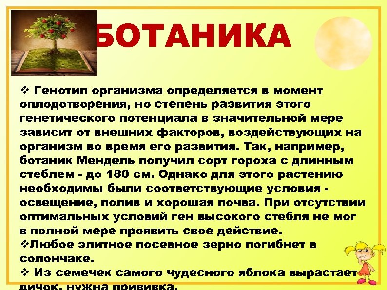 БОТАНИКА v Генотип организма определяется в момент оплодотворения, но степень развития этого генетического потенциала