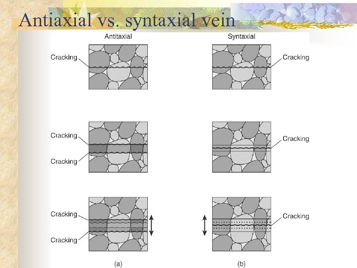 Antiaxial vs. syntaxial vein 