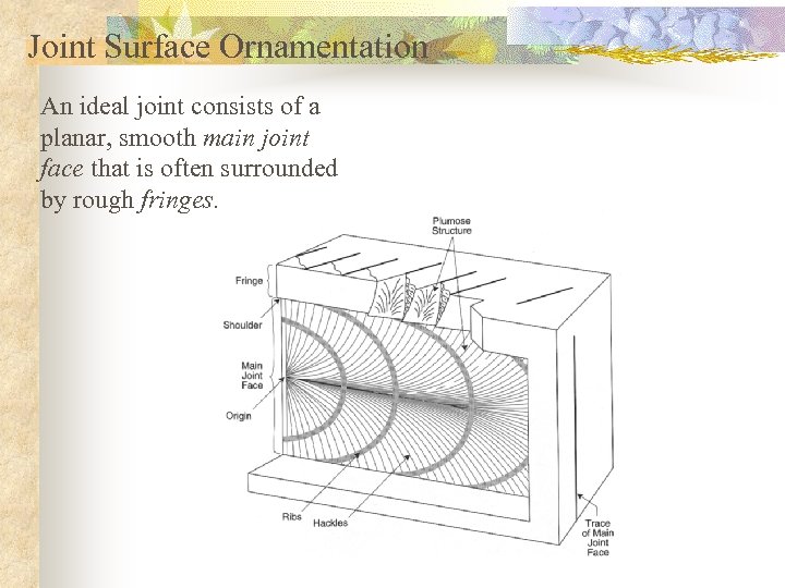 Joint Surface Ornamentation An ideal joint consists of a planar, smooth main joint face