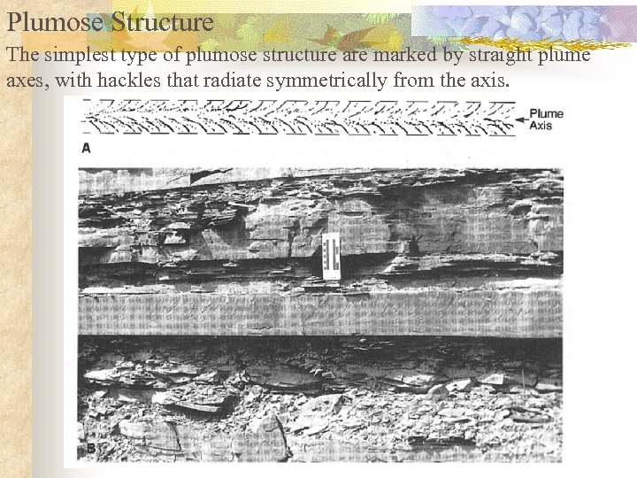 Plumose Structure The simplest type of plumose structure are marked by straight plume axes,