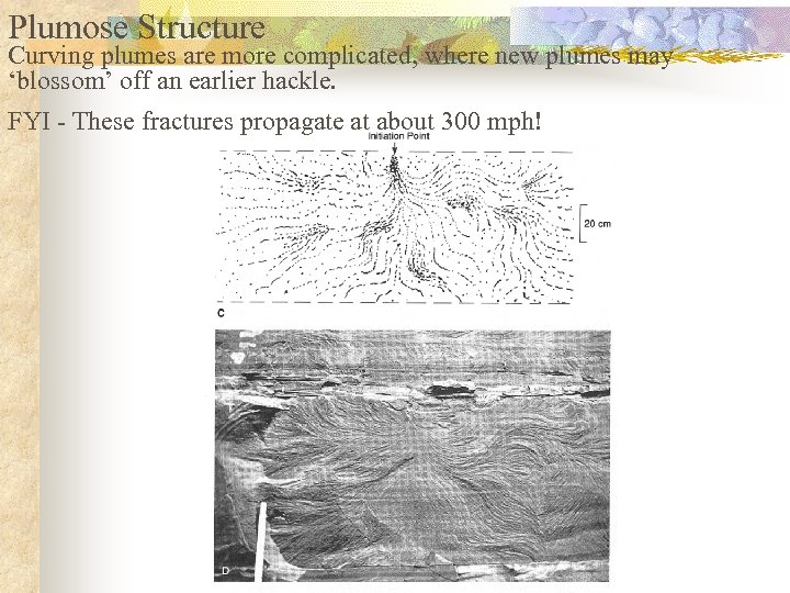 Plumose Structure Curving plumes are more complicated, where new plumes may ‘blossom’ off an