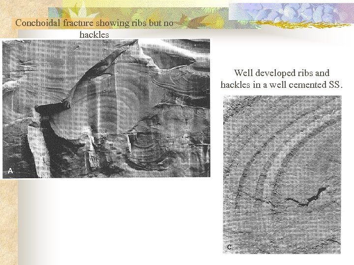 Conchoidal fracture showing ribs but no hackles Well developed ribs and hackles in a