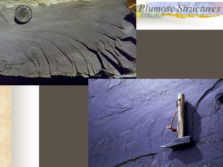 Plumose Structures 