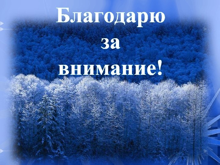 Благодарю за внимание! 