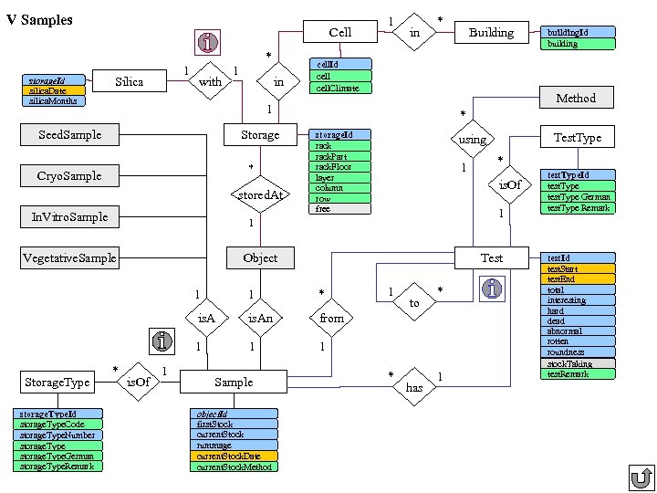 V Samples storage. Id silica. Date silica. Months Cell 1 Silica with * 1