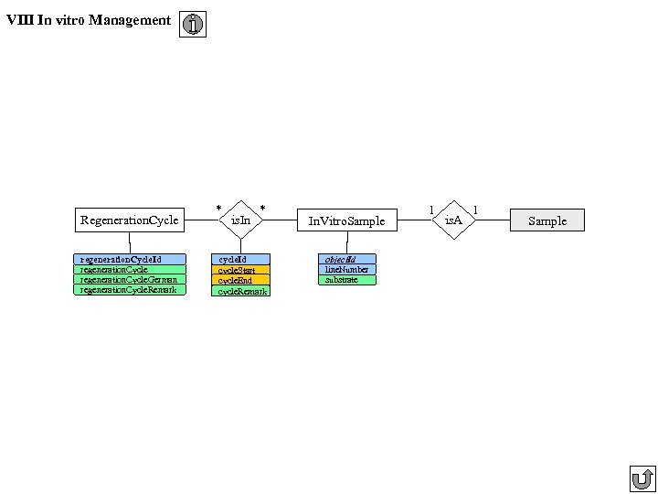 VIII In vitro Management Regeneration. Cycle regeneration. Cycle. Id regeneration. Cycle. German regeneration. Cycle.