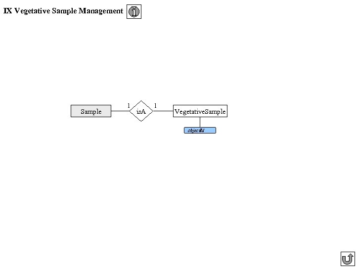 IX Vegetative Sample Management Sample 1 is. A 1 Vegetative. Sample object. Id 