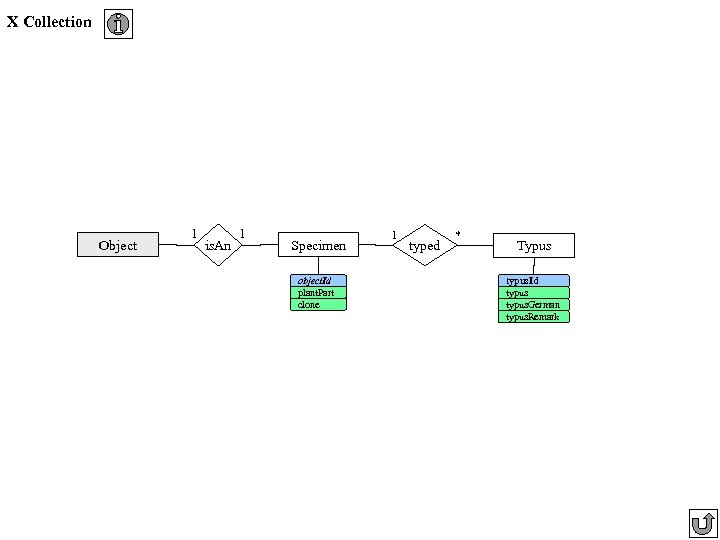 X Collection Object 1 is. An 1 Specimen object. Id plant. Part clone 1