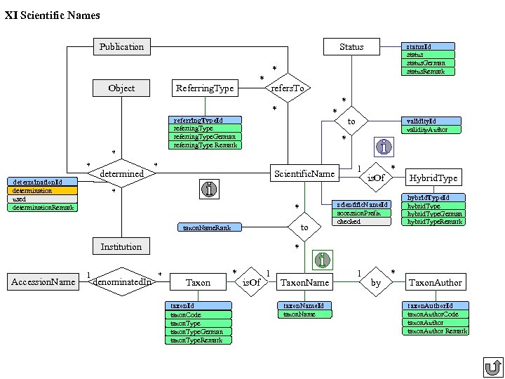 XI Scientific Names Publication Status Object Referring. Type * * refers. To * *