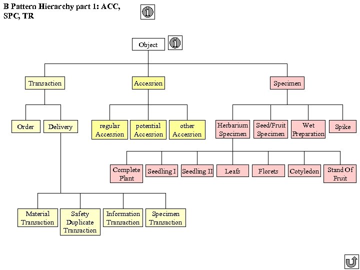 B Pattern Hierarchy part 1: ACC, SPC, TR Object Transaction Order Accession Delivery regular