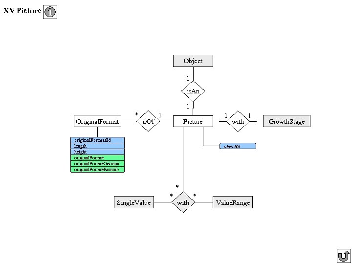 XV Picture Object 1 is. An 1 Original. Format * is. Of 1 Picture