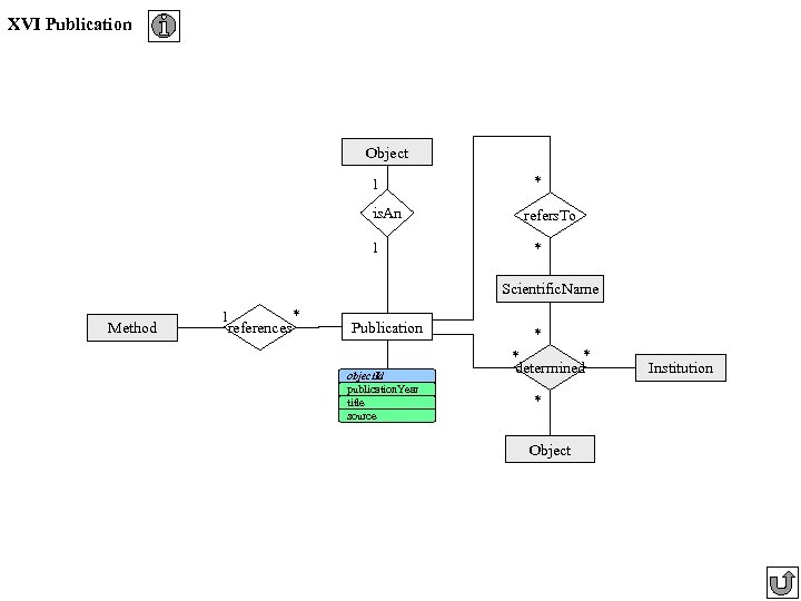 XVI Publication Object 1 is. An 1 * refers. To * Scientific. Name Method