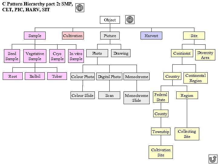 C Pattern Hierarchy part 2: SMP, CLT, PIC, HARV, SIT Object Sample Cultivation Seed