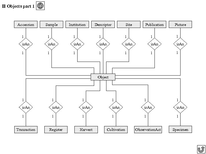 II Objects part 1 Accession Sample Institution Site Descriptor Publication Picture 1 1 1
