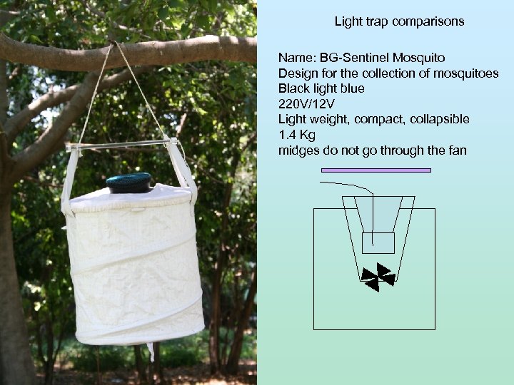 Light trap comparisons Name: BG-Sentinel Mosquito Design for the collection of mosquitoes Black light