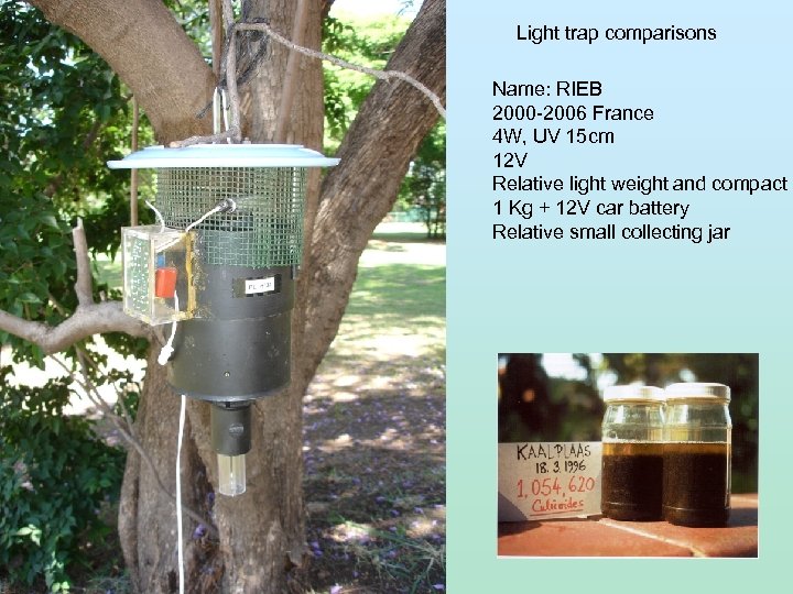 Light trap comparisons Name: RIEB 2000 -2006 France 4 W, UV 15 cm 12