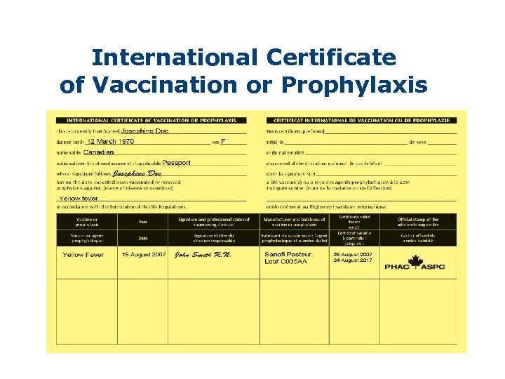 International Certificate of Vaccination or Prophylaxis 