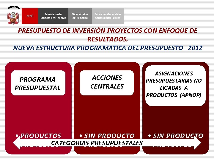 PERÚ Ministerio de Economía y Finanzas Viceministro de Hacienda Dirección General de Contabilidad Pública