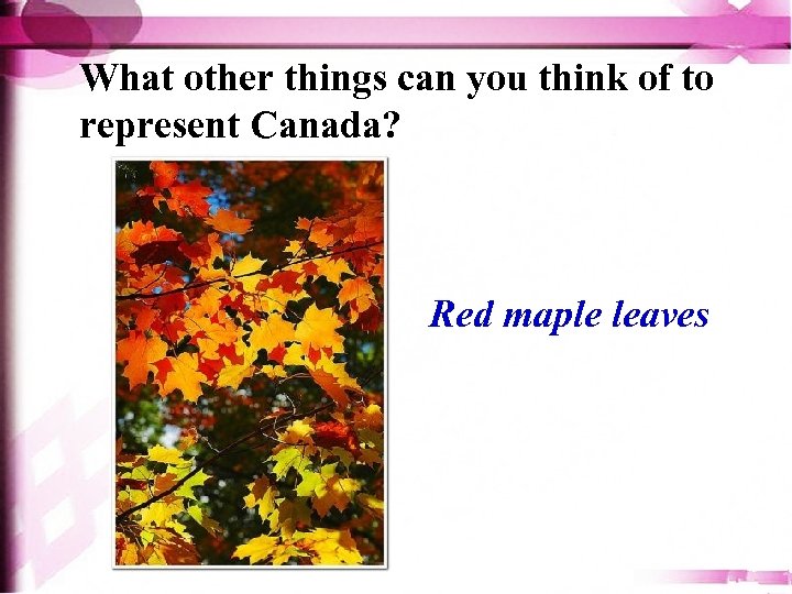 What other things can you think of to represent Canada? Red maple leaves 