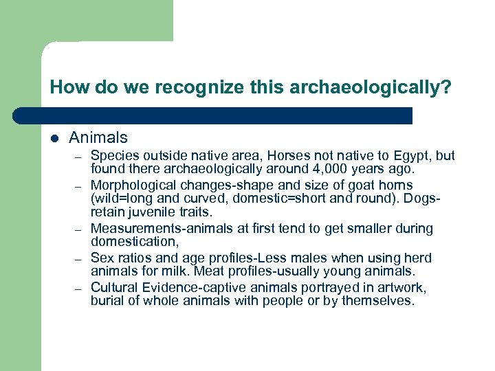 How do we recognize this archaeologically? l Animals – – – Species outside native