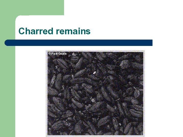 Charred remains 