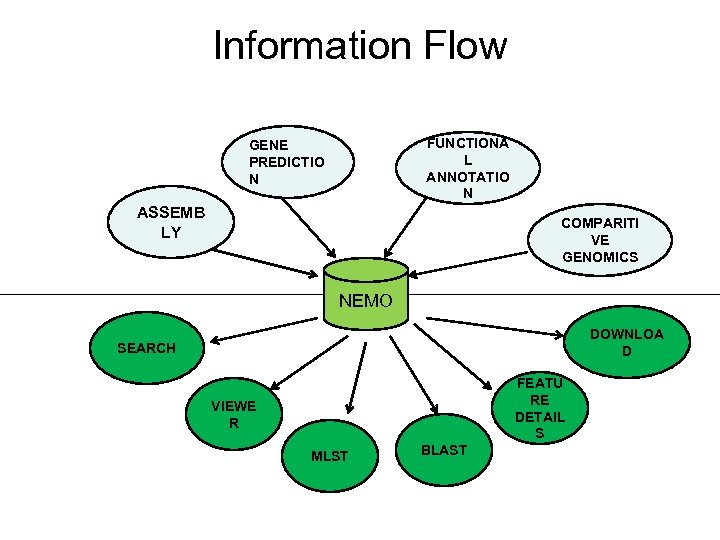 Information Flow FUNCTIONA L ANNOTATIO N GENE PREDICTIO N ASSEMB LY COMPARITI VE GENOMICS