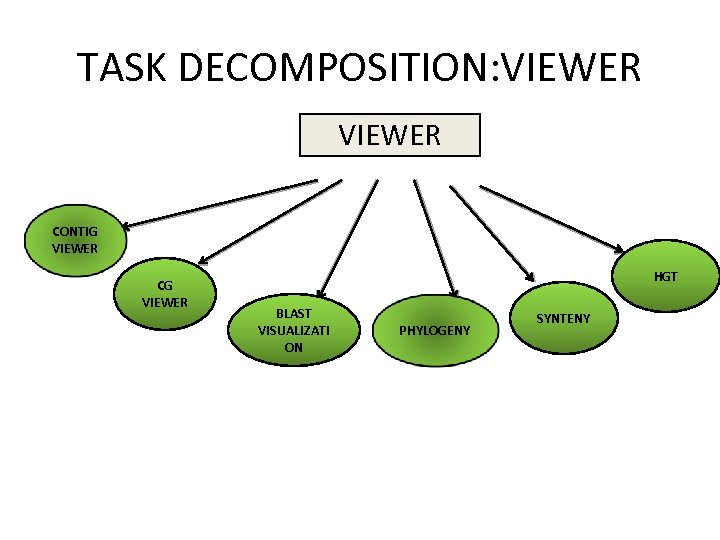 TASK DECOMPOSITION: VIEWER CONTIG VIEWER CG VIEWER HGT BLAST VISUALIZATI ON PHYLOGENY SYNTENY 