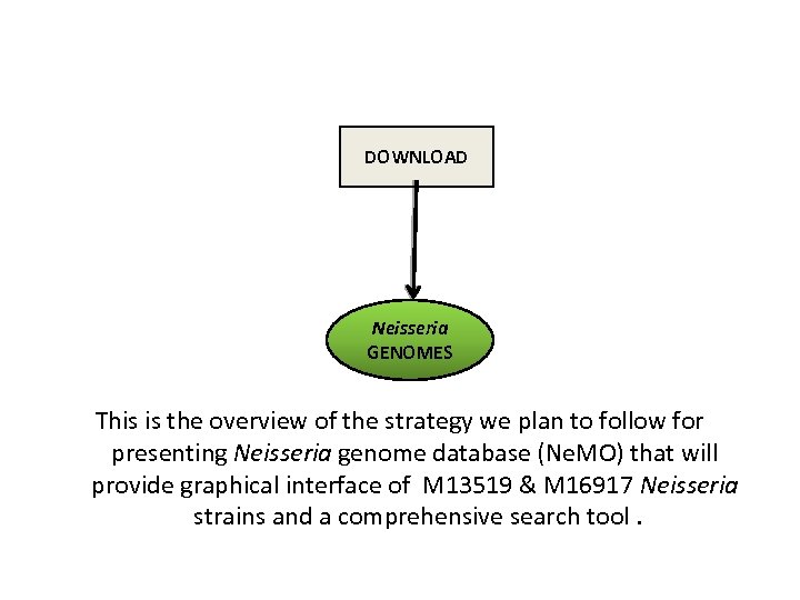 DOWNLOAD Neisseria GENOMES This is the overview of the strategy we plan to follow