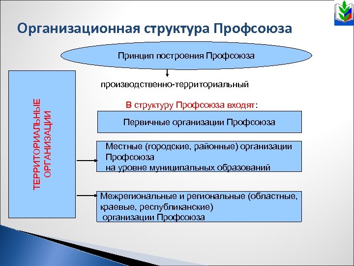 Организационная структура Профсоюза Принцип построения Профсоюза ТЕРРИТОРИАЛЬНЫЕ ОРГАНИЗАЦИИ производственно-территориальный В структуру Профсоюза входят: Первичные