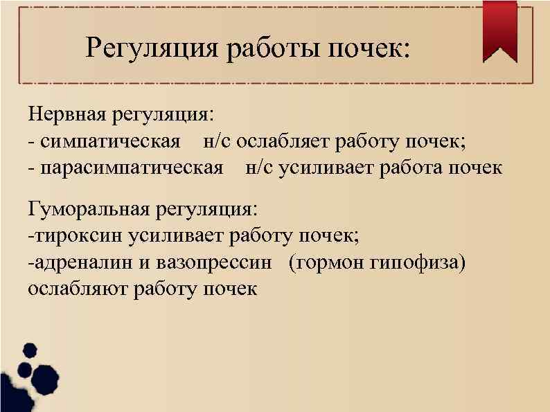 Регуляцию работы. Нервная регуляция почек. Работу сердца ослабляют тироксин и симпатический.